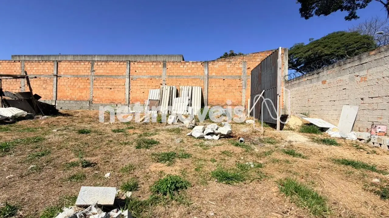 Lote