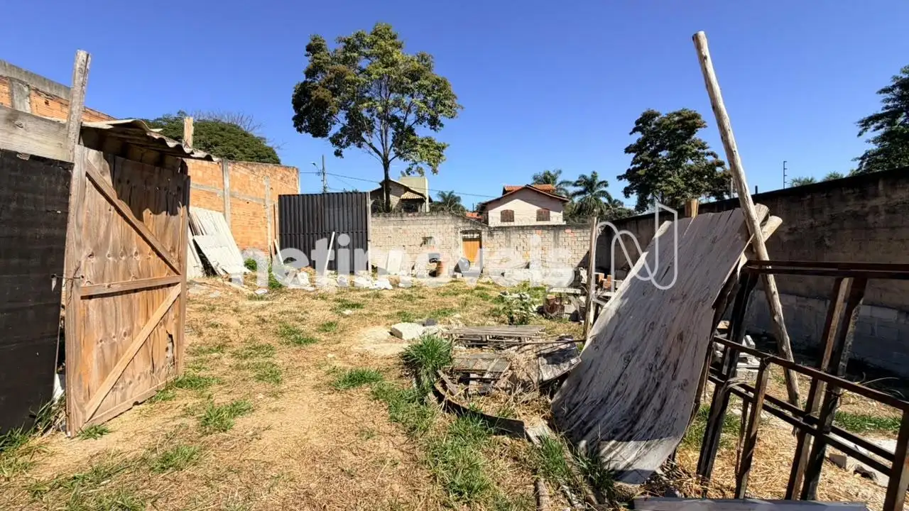 Lote