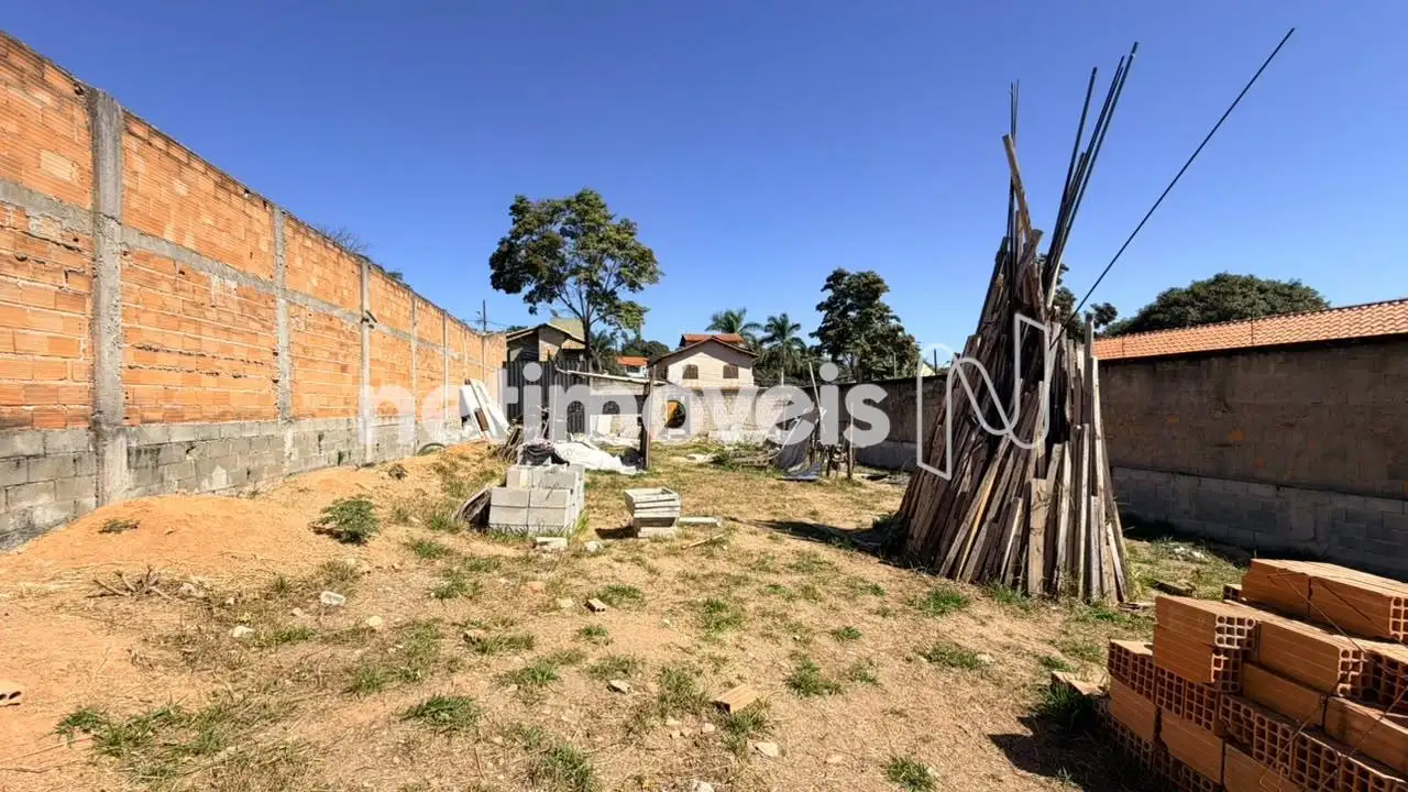Lote