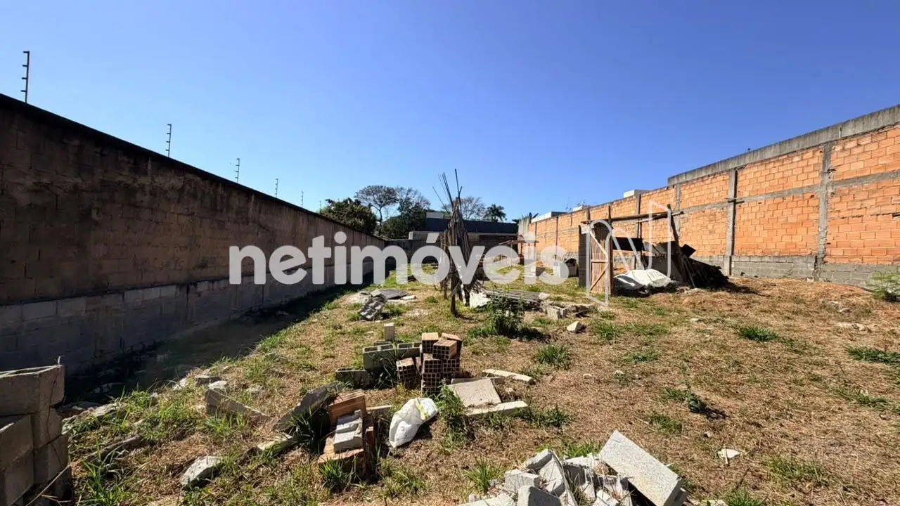 Lote