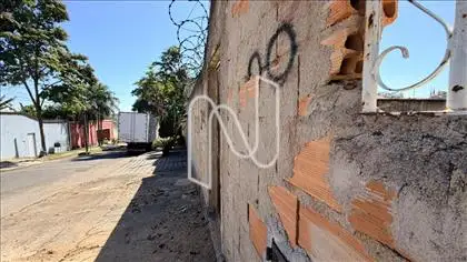 Lote