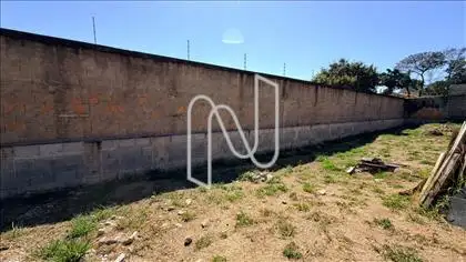 Lote