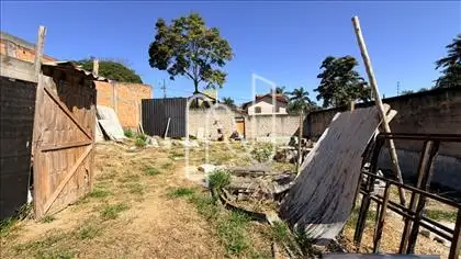 Lote