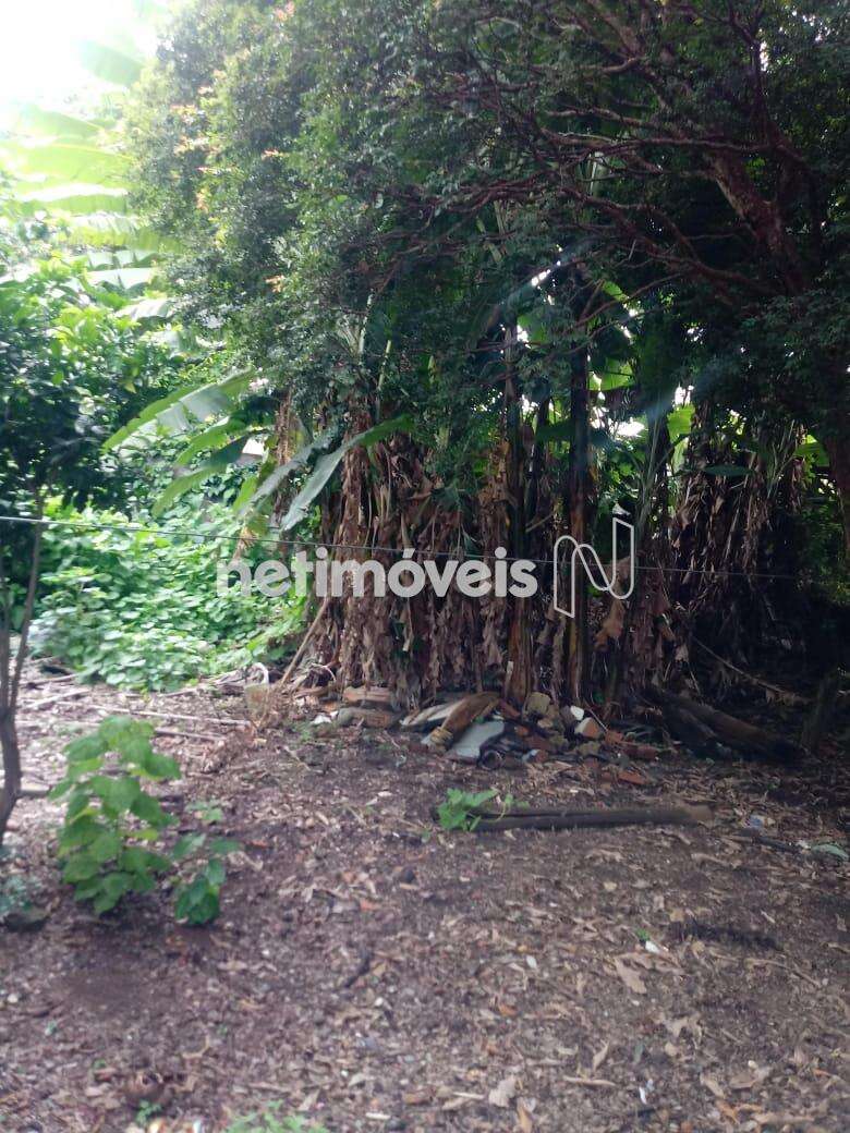 Lote-Terreno-Caiçara-PedroII