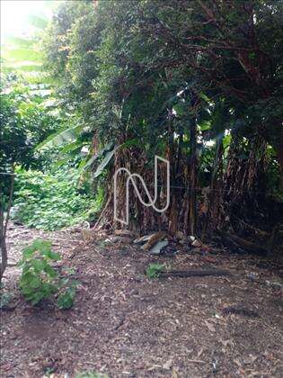   Lote-Terreno-Caiçara-PedroII