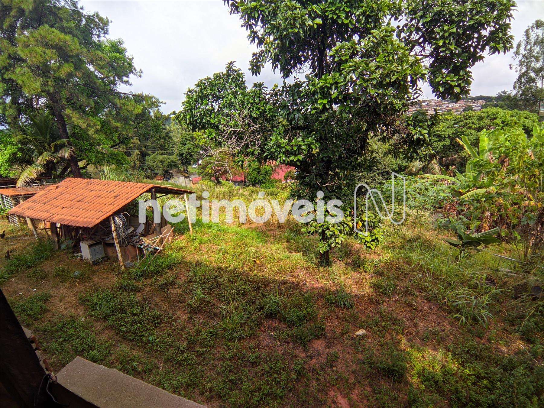  Lote-Terreno-Nacional  