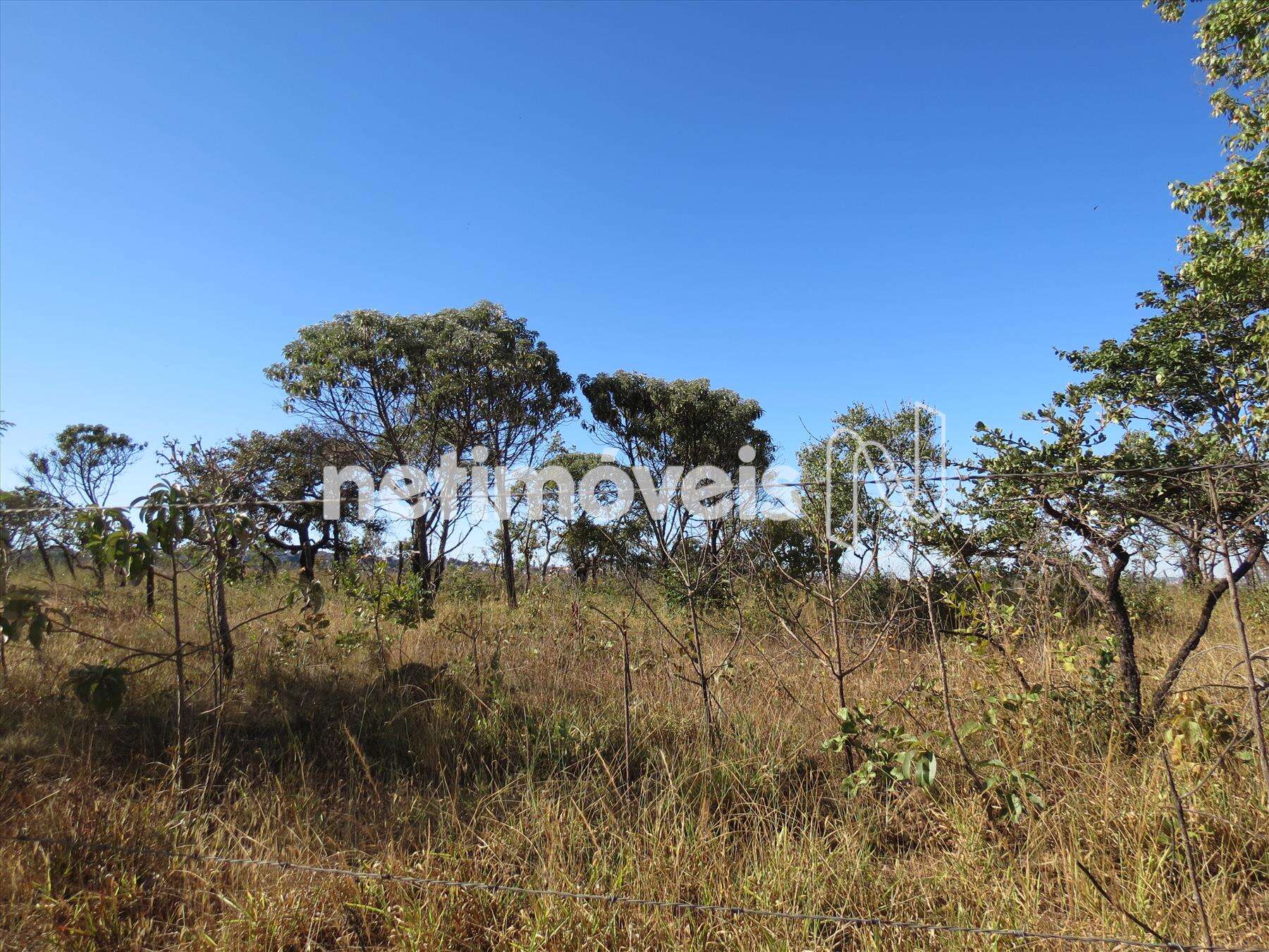 Fazenda-Terreno-Lote