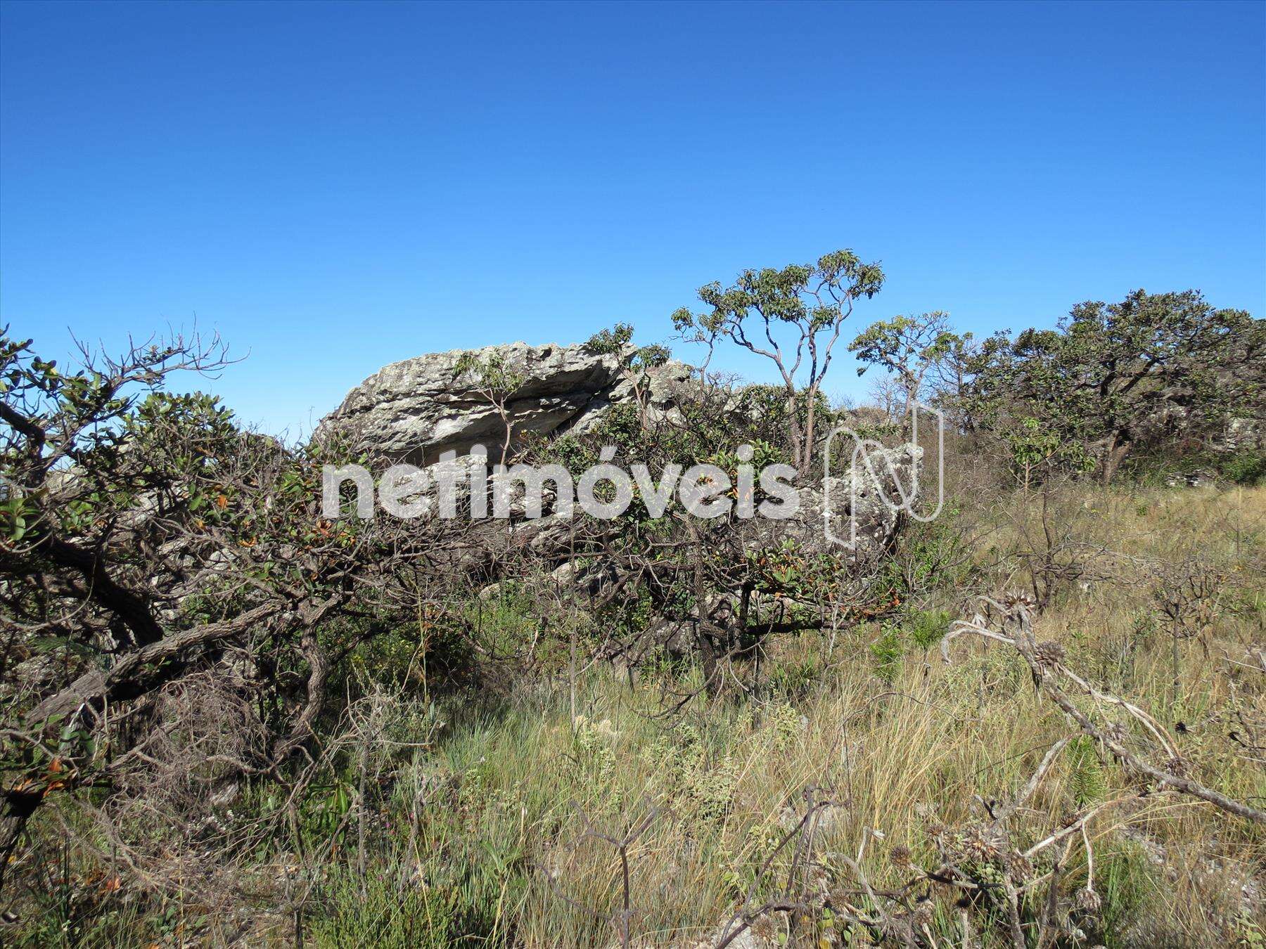 Fazenda-Terreno-Lote