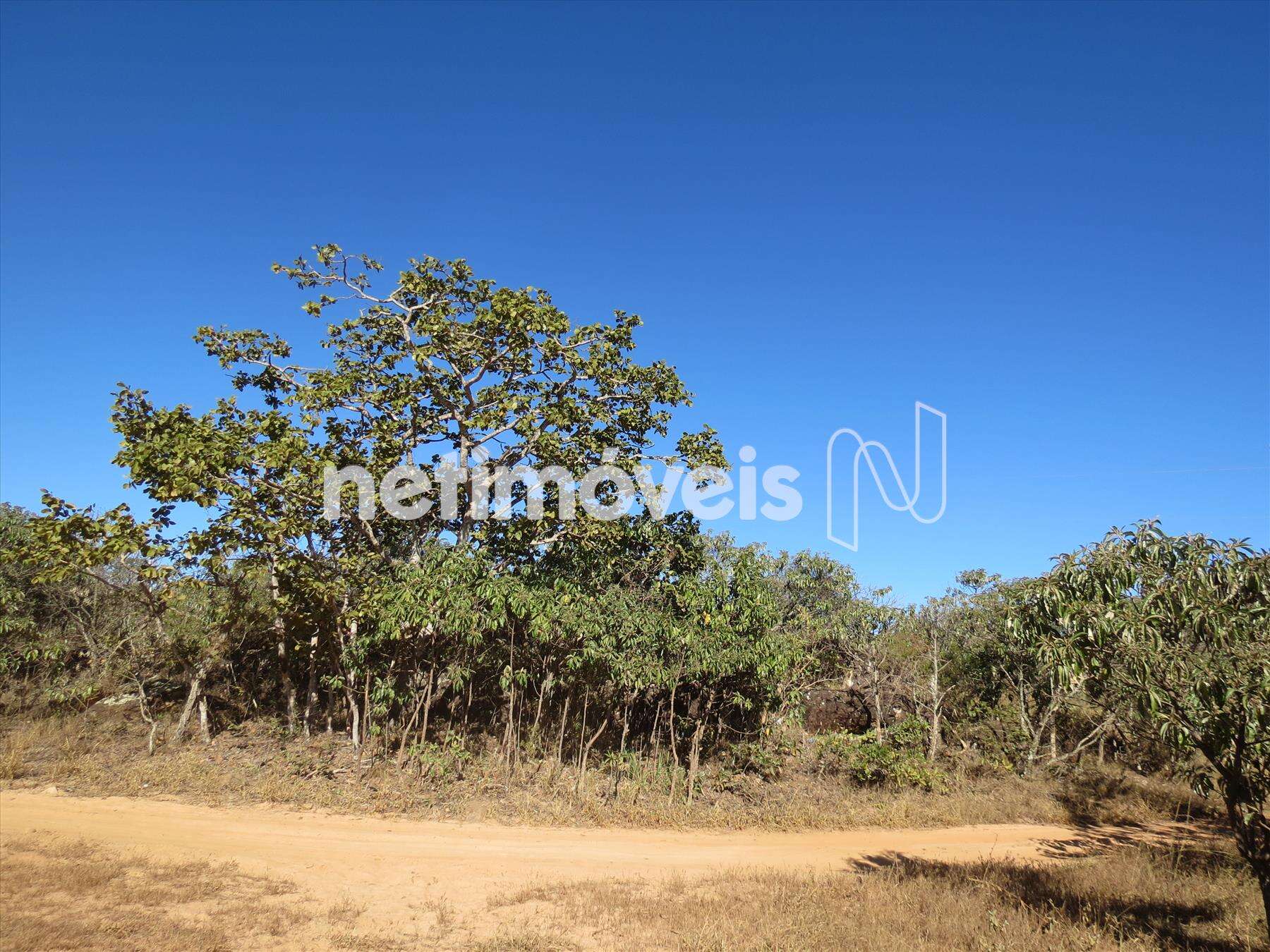 Fazenda-Terreno-Lote