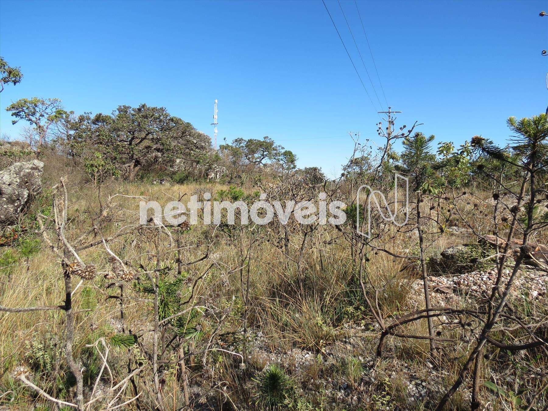 Fazenda-Terreno-Lote