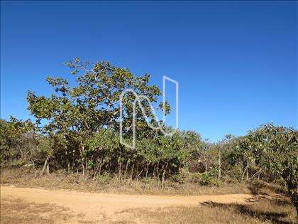Fazenda-Terreno-Lote  