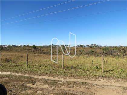 Fazenda-Terreno-Lote  