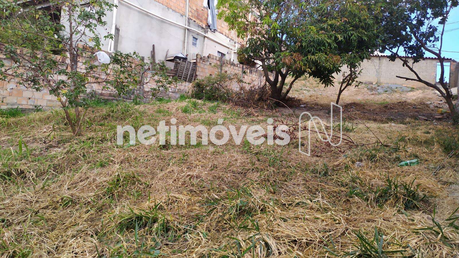  Lote-área-terreno