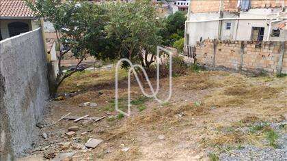  Lote-área-terreno 