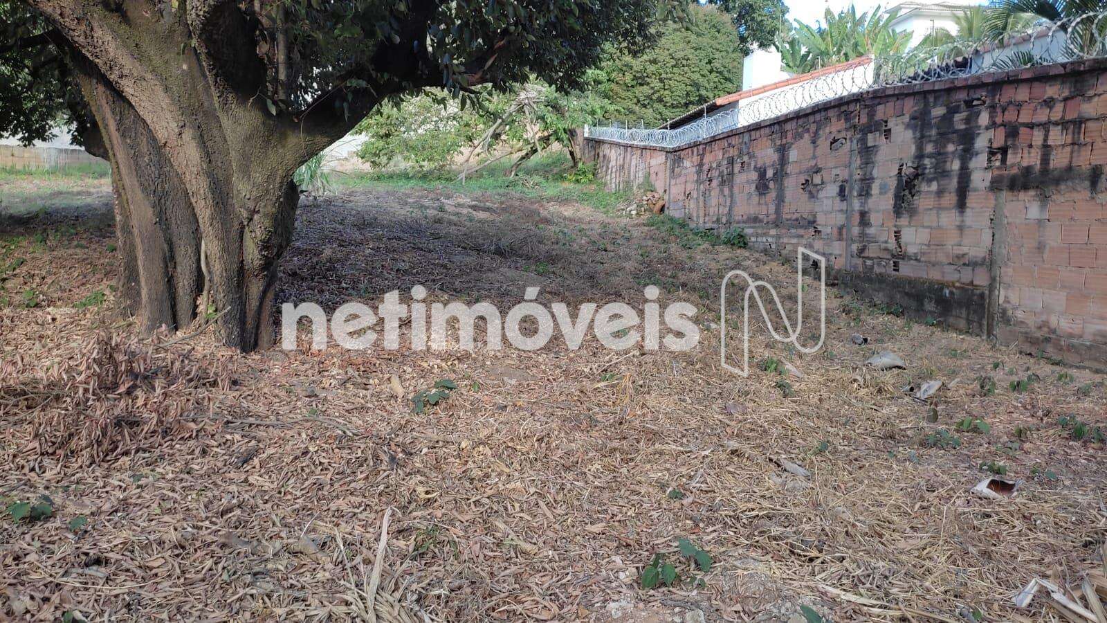 Lote-Terreno-Bandeirantes 