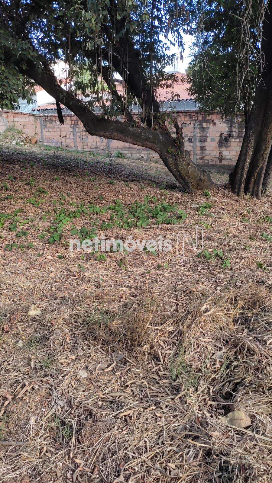 Lote-Terreno-Bandeirantes 