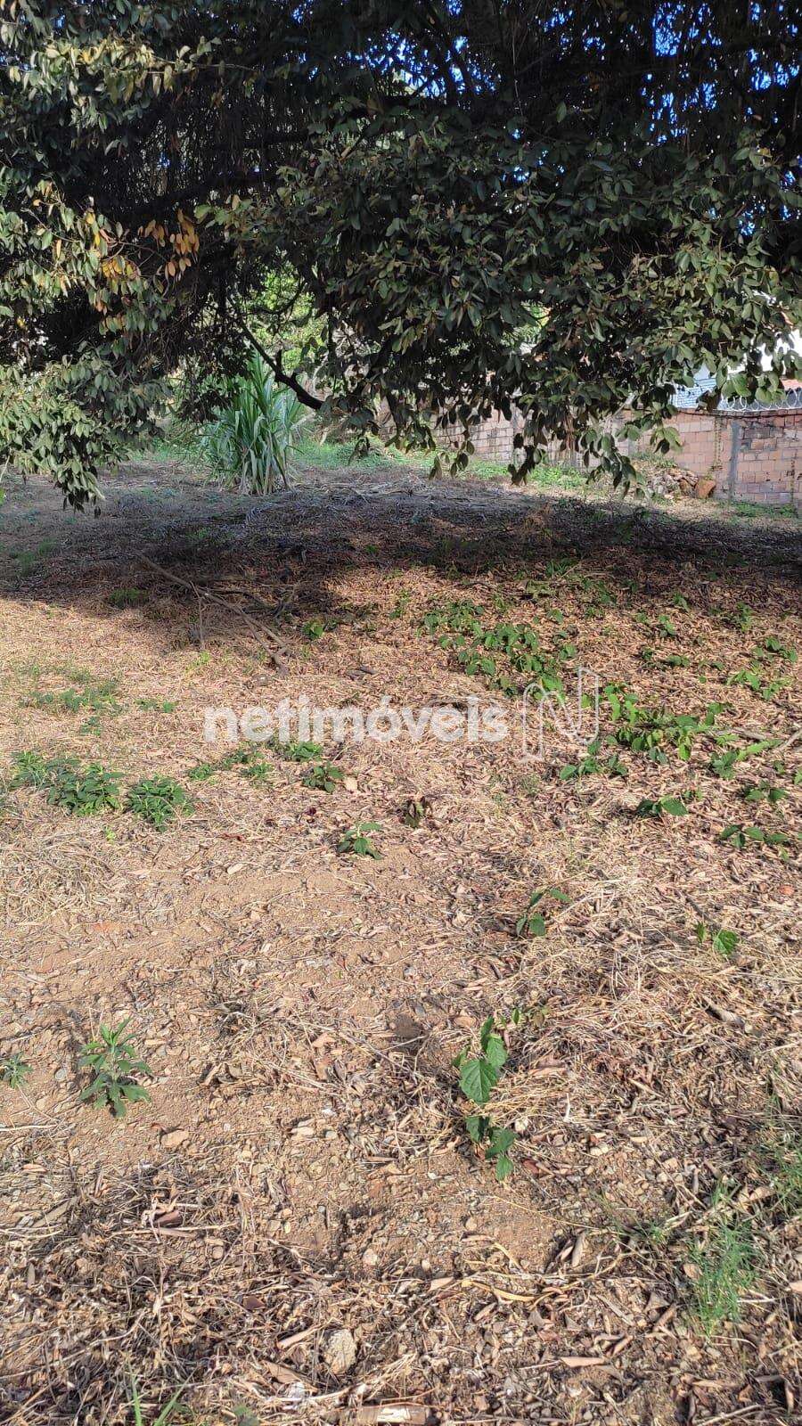 Lote-Terreno-Bandeirantes 