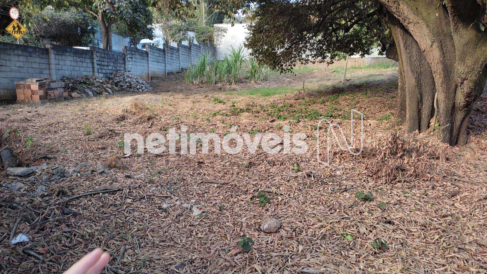 Lote-Terreno-Bandeirantes 