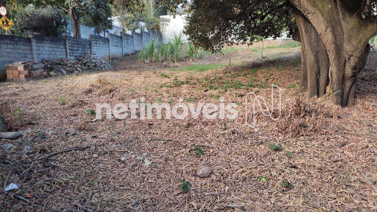 Lote-Terreno-Bandeirantes 