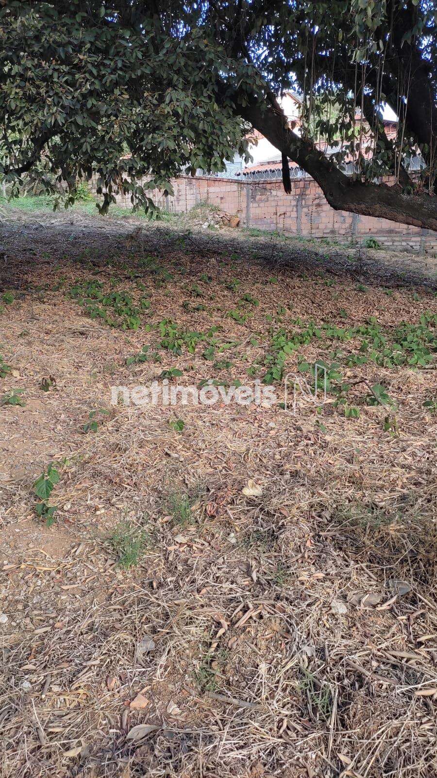 Lote-Terreno-Bandeirantes 