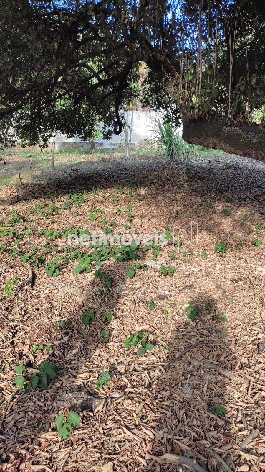 Lote-Terreno-Bandeirantes 