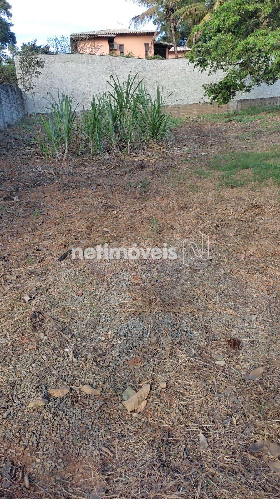 Lote-Terreno-Bandeirantes 