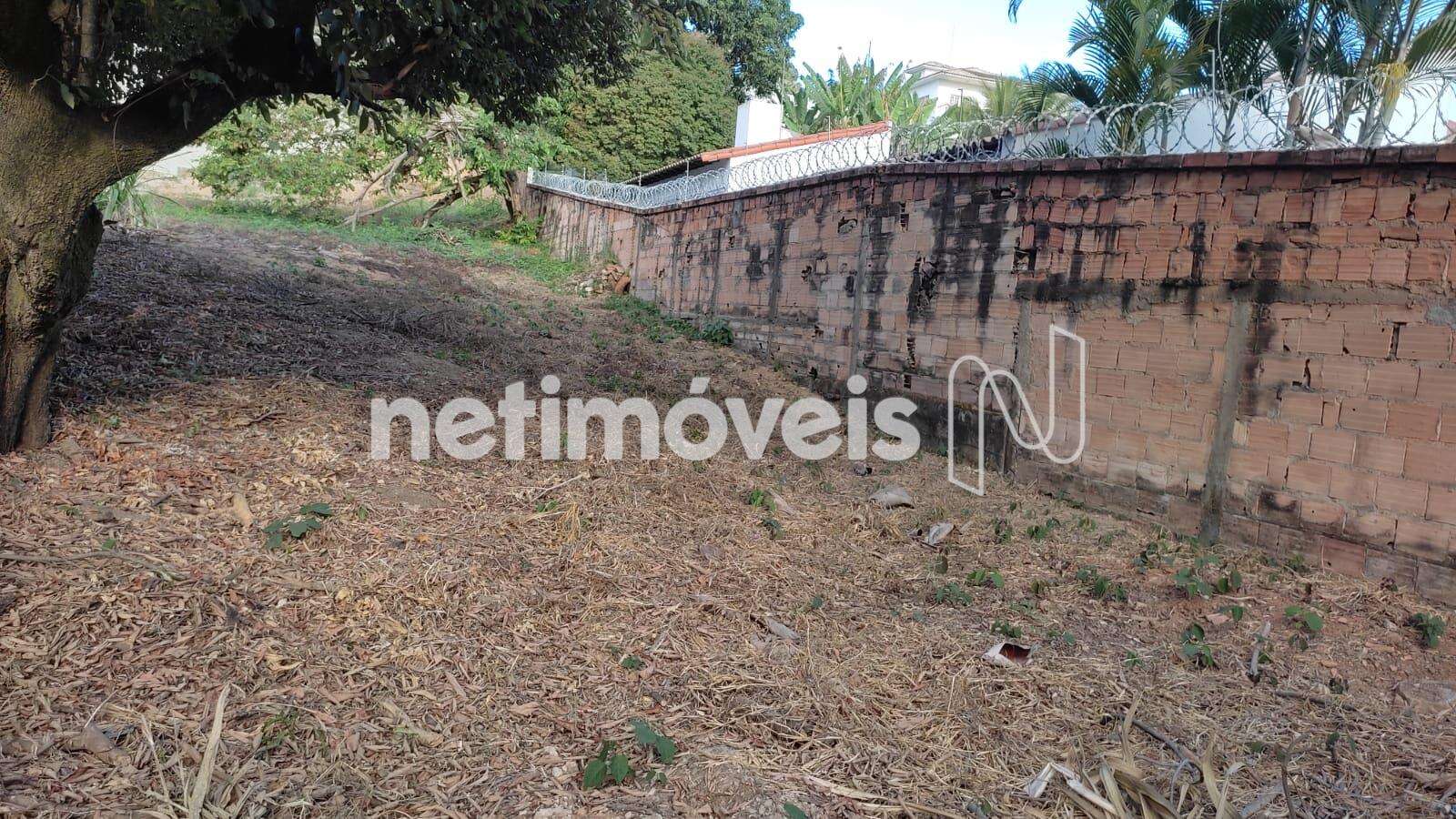 Lote-Terreno-Bandeirantes 