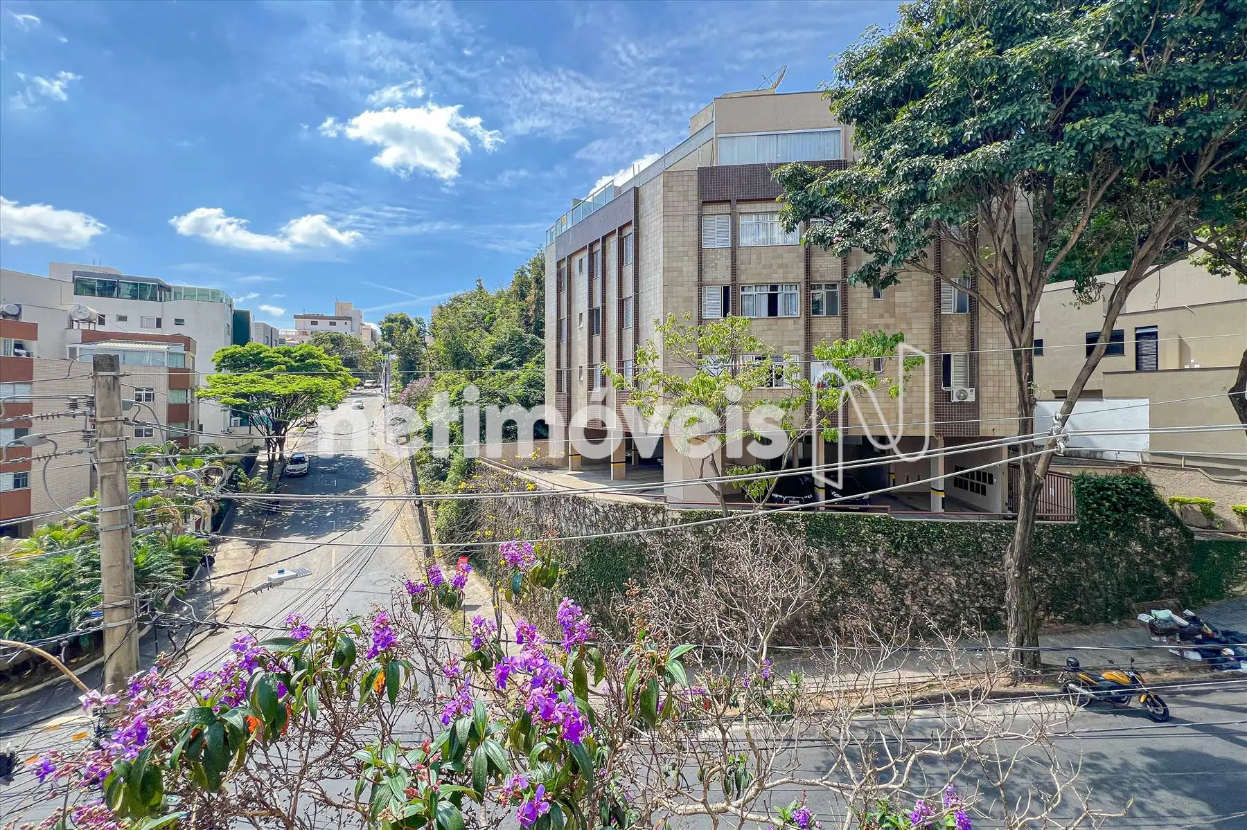 Vista