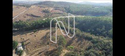  Fazenda-Lote-Esmeralda 
