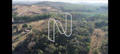  Fazenda-Lote-Esmeralda 