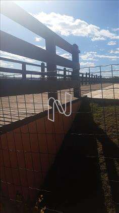 lote-lagoa-santa 