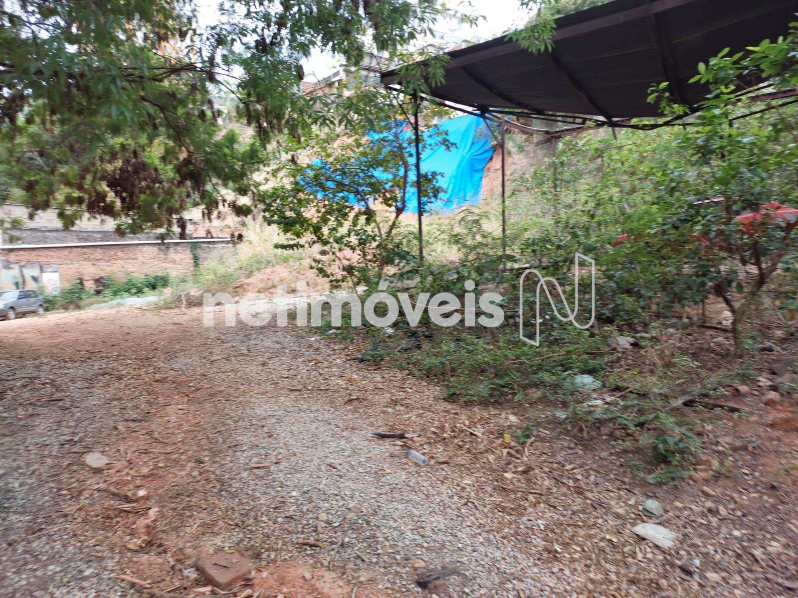 lote-terreno-carlos-prates