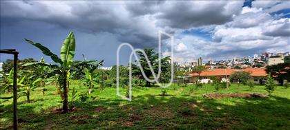  lote-ouro-preto 