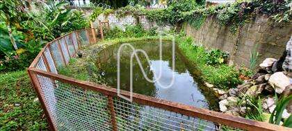  lote-ouro-preto 