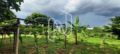  lote-ouro-preto 