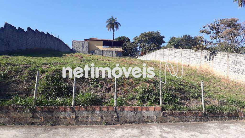 lote-trevo