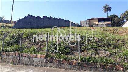 lote-trevo