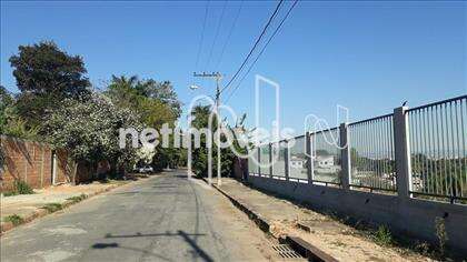lote-trevo