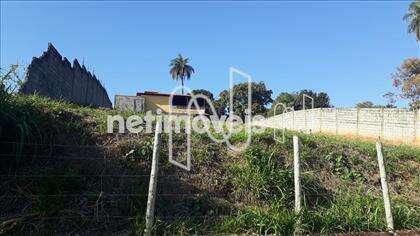 lote-trevo