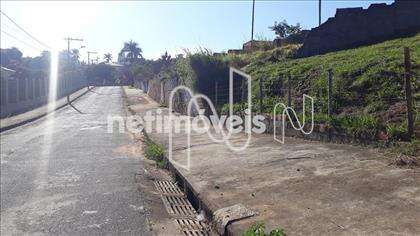 lote-trevo