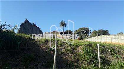 lote-trevo