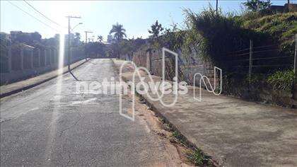 lote-trevo