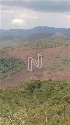  Lote-Terreno-MorroVermelho  
