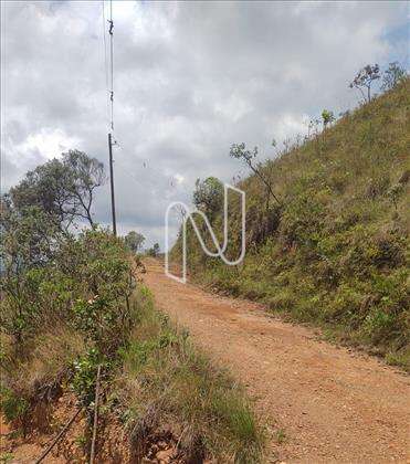  Lote-Terreno-MorroVermelho  