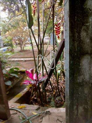 Casa-Lote-02-Quartos-Trevo