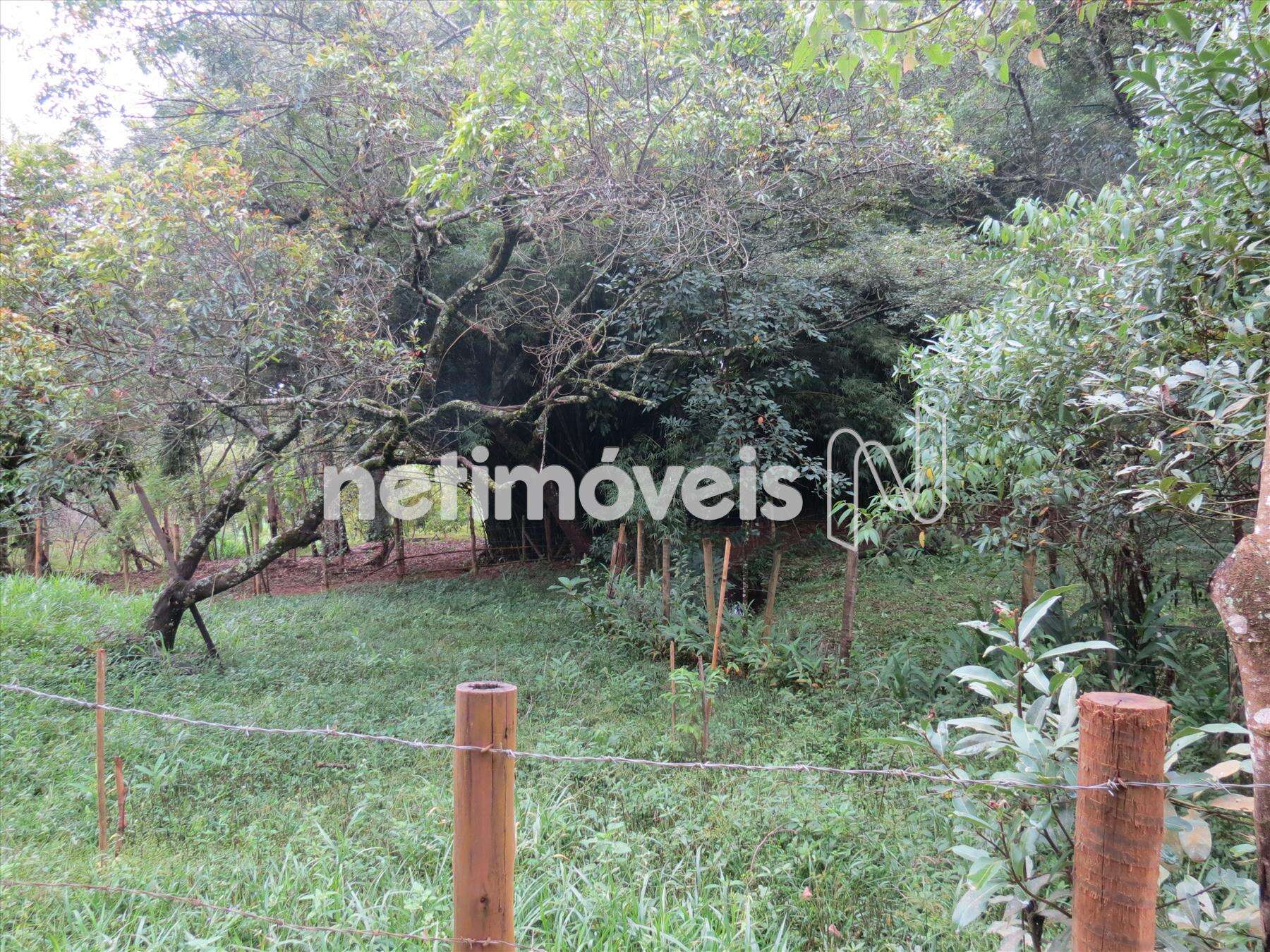 lote-atalaia 