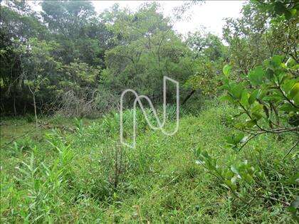 lote-atalaia  