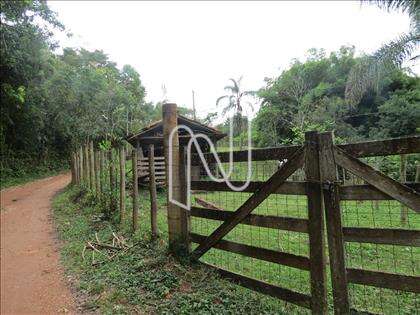 lote-atalaia  