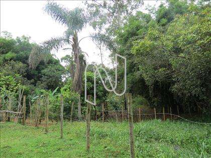 lote-atalaia  