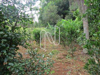 lote-atalaia  